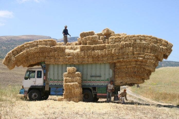 afaceri agricultura