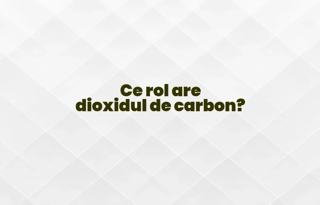 ce rol are dioxidul de carbon