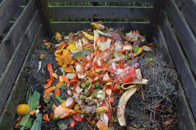 ce nu se pune in compost