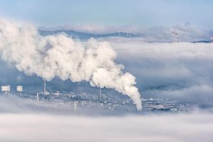 activitati schimbari climatice